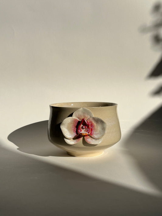 Orchid Whisper I