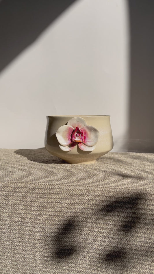 Orchid Whisper I
