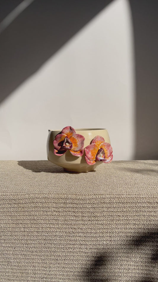 Orchid Whisper V